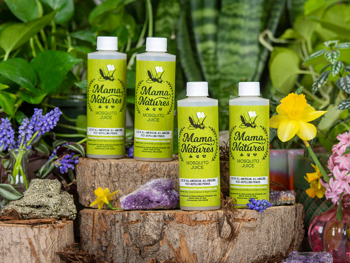 safe mosquito repellent for yard