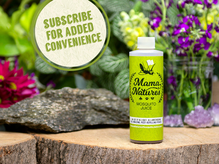Mama Nature’s Mosquito Juice Stop The Swat Subscription